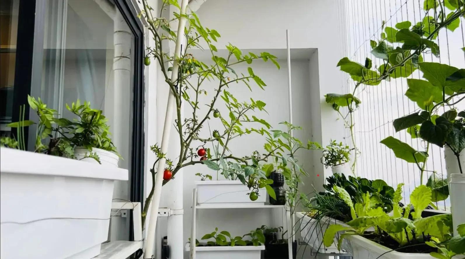 Thiết kế ban công