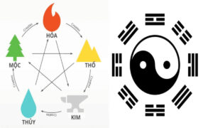 thủy sinh mộc