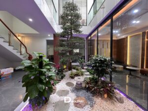Tiểu cảnh cây Tùng nội thất và giếng trời thông tầng biệt thự Phú Thọ